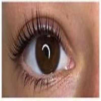 Lash lift/ tint